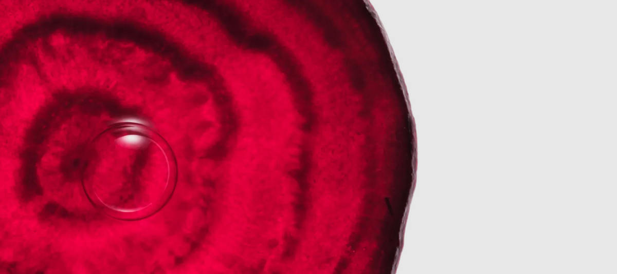 BEET ROOT POWDER